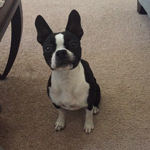 Meet your Posher, Rosa